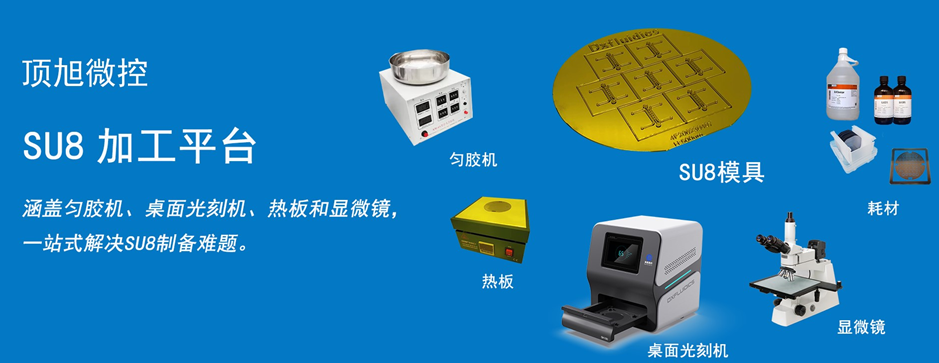 SU-8 Molds/PDMS Chip Molds