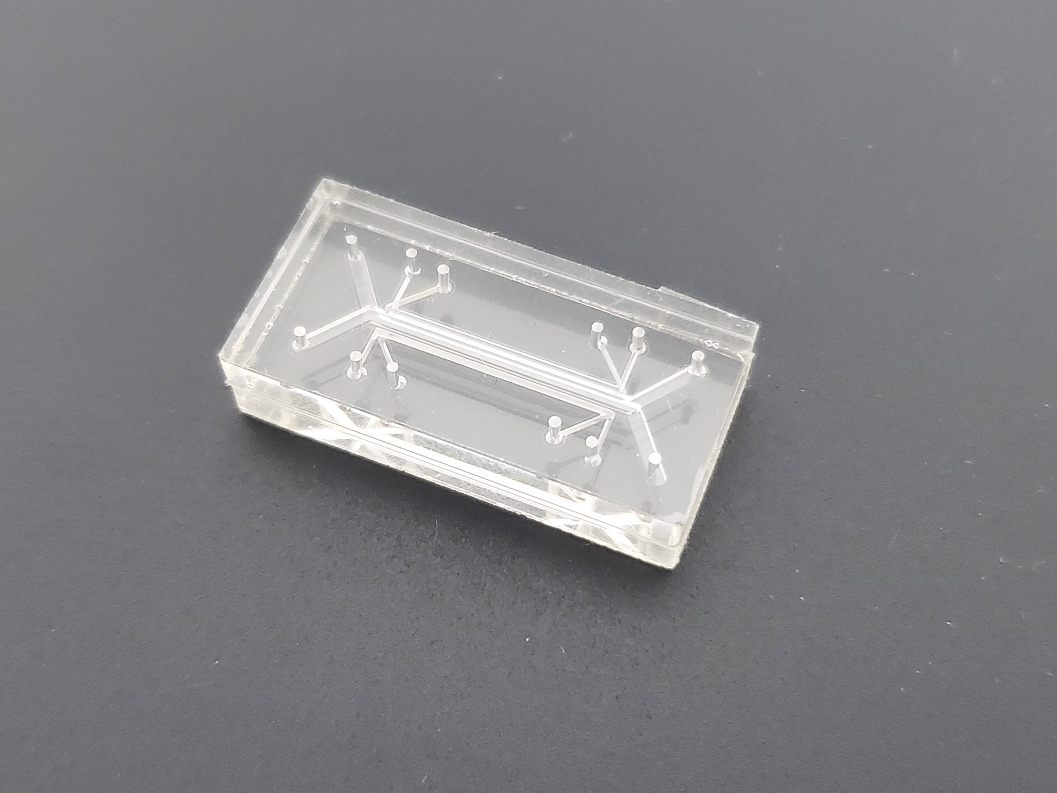 Lung chip/Lung on a chip