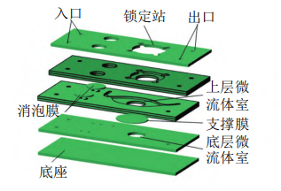 器官芯片结构解析图