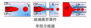 单组分液滴