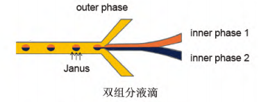 双组分液滴