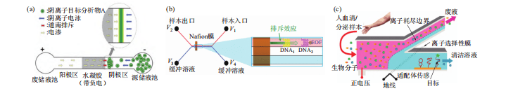 Schematic structure of straight-through microfluidic ICP chip