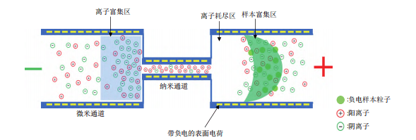 Schematic diagram of ICP enrichment principle