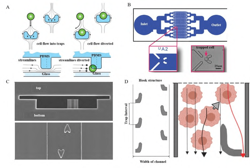 Single-cell capture structures for microcolumn arrays