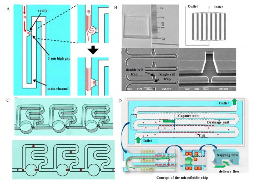 Single-cell capture structures for bypass channels