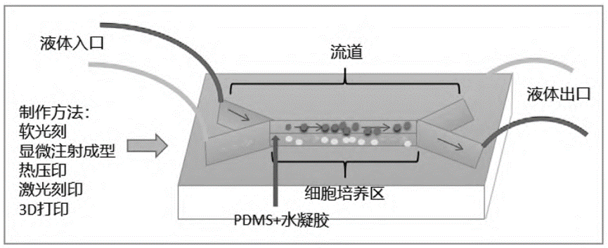 Schematic of 3D-CMCs model