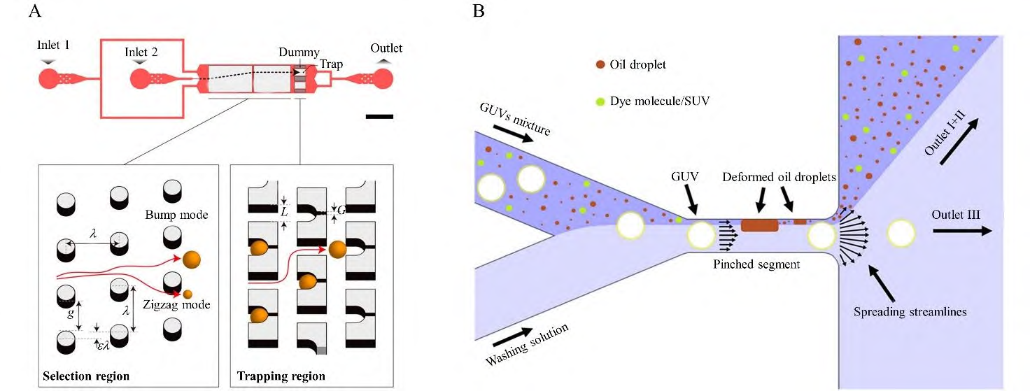 Microfluidic sorting of artificial cells